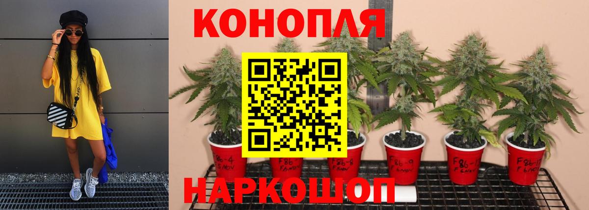 Бошки марихуана Ganja Назарово